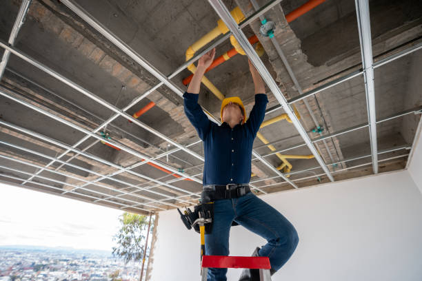Best Affordable Plumbing Services  in Rector, AR