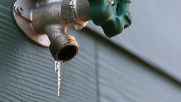 Best Commercial Plumbing Services  in Rector, AR